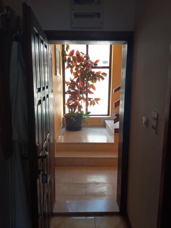 Апартаменты Villa Nebojša Будва-25